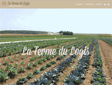 Tablet Screenshot of lafermedulogis.com